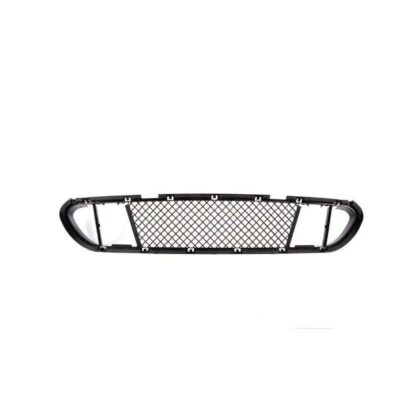 توری سپر جلو BMW 520 اتاق E60