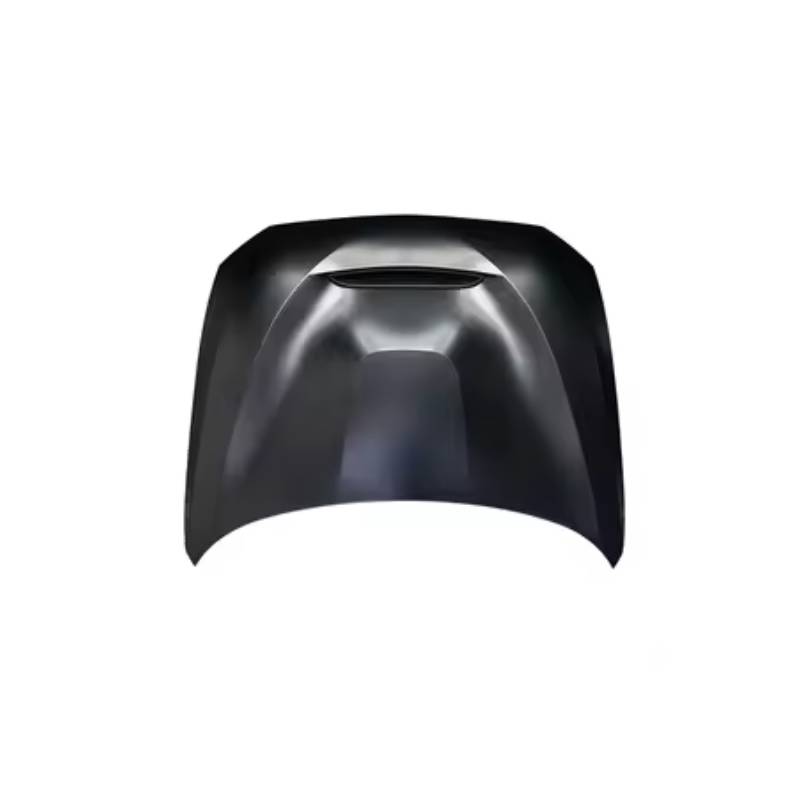 کاپوت بی ام و 120 اتاق F22