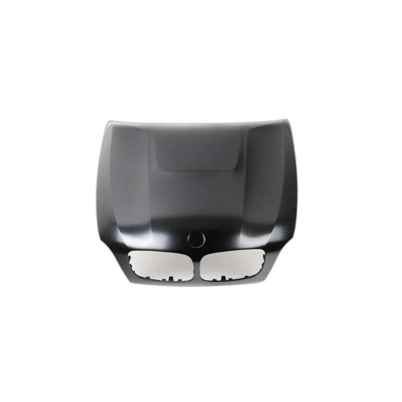 کاپوت بی ام و X6 اتاق E71