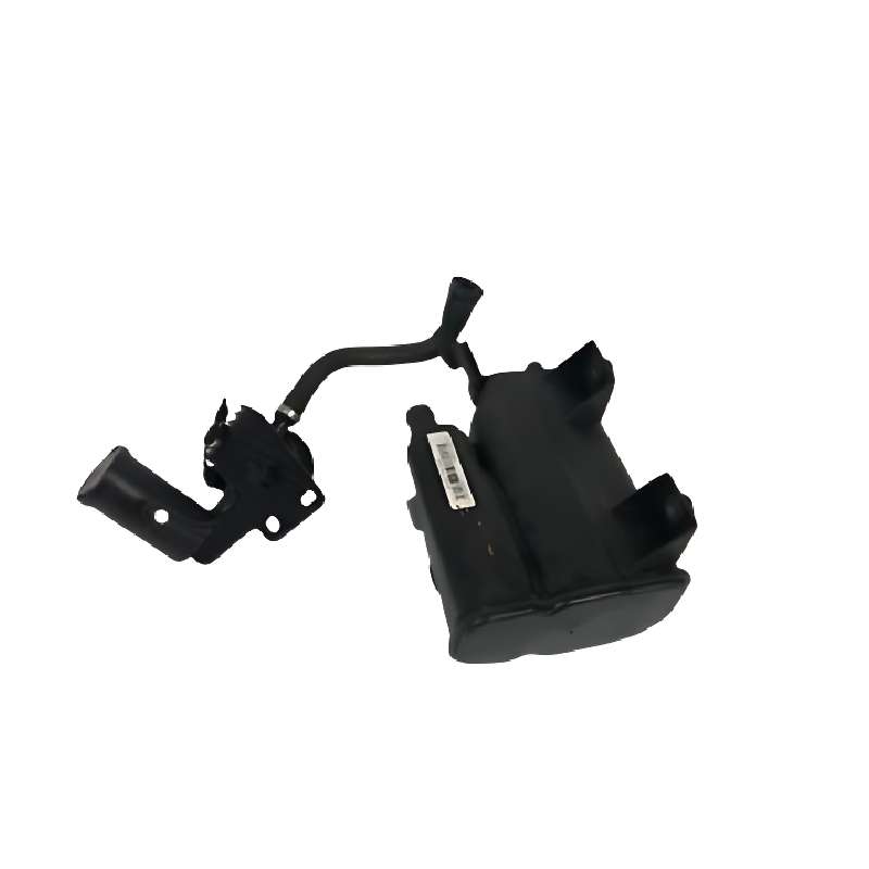 کنیستر بنزین بی ام و X4 F26
